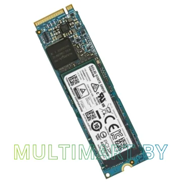 SSD диск Toshiba XG5 2TB KXG50PNV2T04A